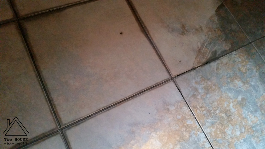 The House that Will | Laying Floor Tiles: a step-by-step guide