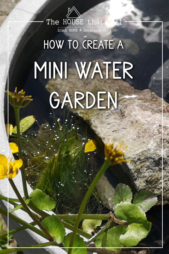 The House that Will | How to Creat a Mini Water Garden Wildlife Pond