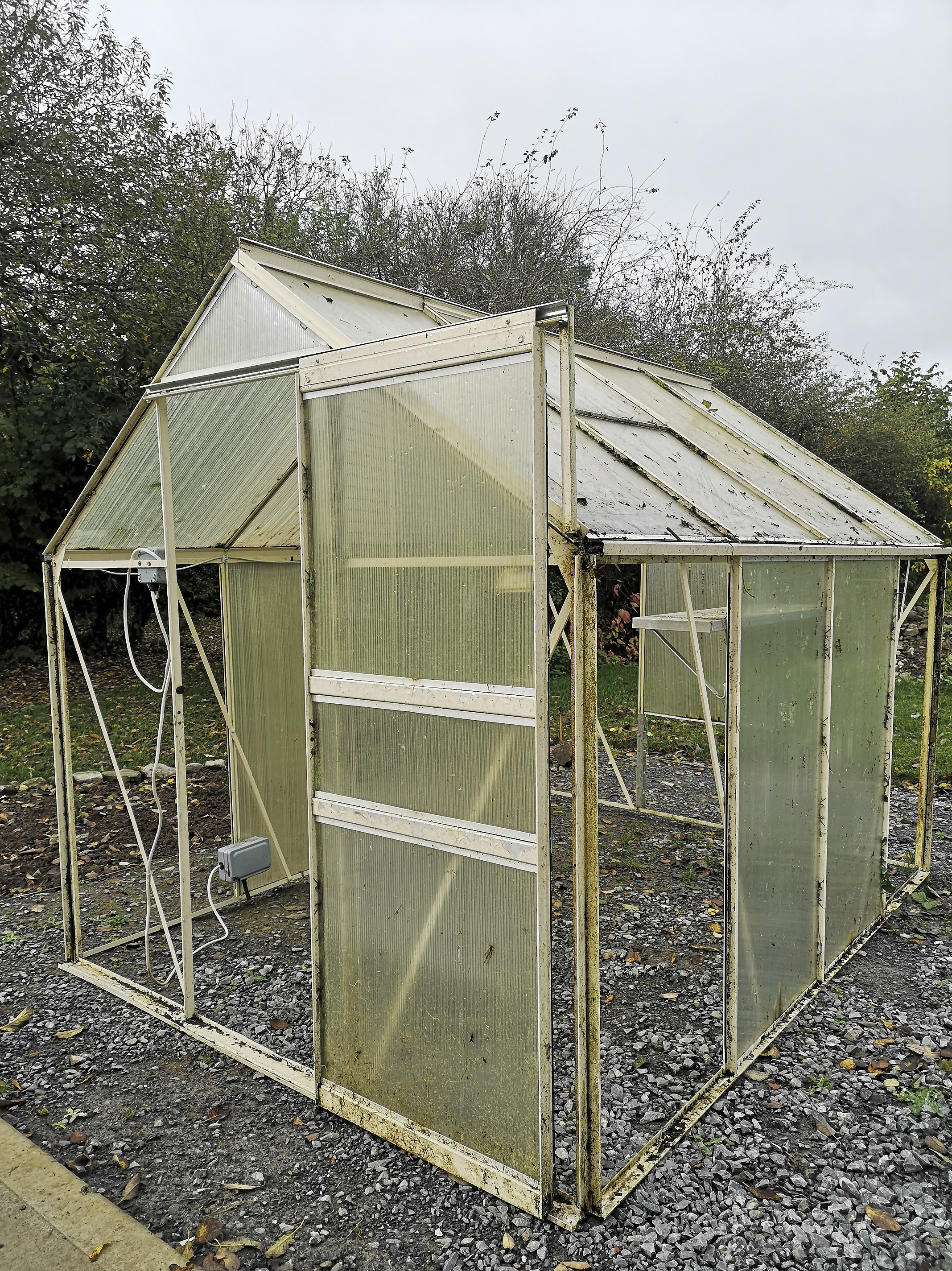 The House that Will | Greenhouse Renovation