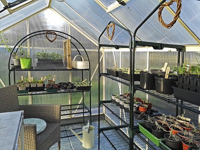 Greenhouse Renovation